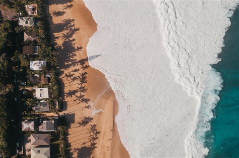 Save Time & Maximize Bookings: A Review of GraceSoft’s Free Vacation ...
