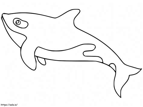 Printable Orca Whale coloring page