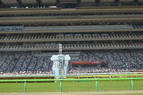 東京競馬場へ行こう！