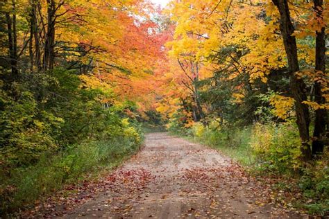 Michigan Fall Foliage- 12 Places for Fall Colors in Michigan