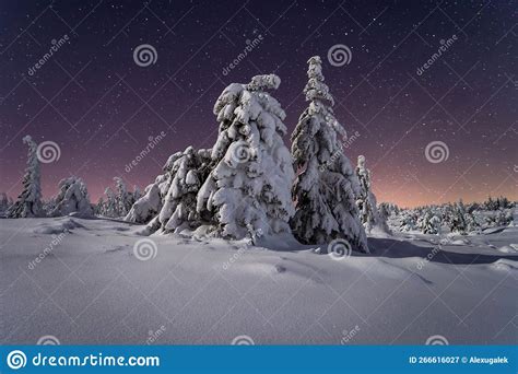 Snowy Winter Night in Mountains Stock Image - Image of landscape ...