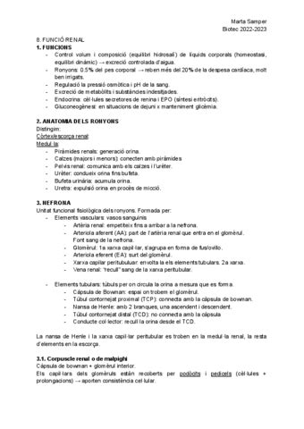 Tema 8 SISTEMA RENAL Pdf