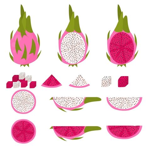 Images De Illustration Fruits Du Dragon T L Chargement Gratuit Sur