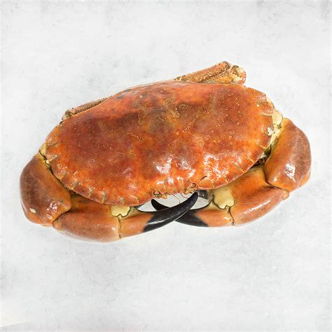 Whole Crab Quayside Fish