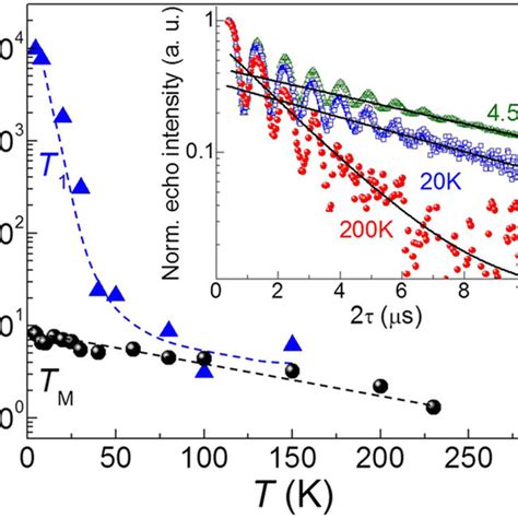 Temperature Dependent Spin Dynamics Temperature Dependence For Tm