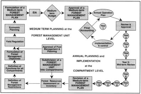 3 Guidelines For Forest Management Planning