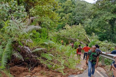 Pohon Tumbang Dan Longsor Terjadi Di Padang Akibat Cuaca Buruk Antara