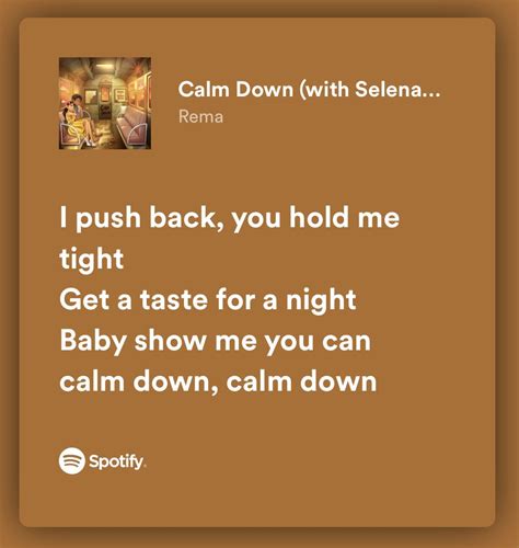 Calm Down Lyrics With Selena Gomez