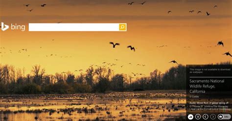 Popular Now On Bing Homepage