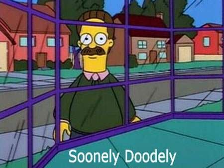 Ned Flanders Meme