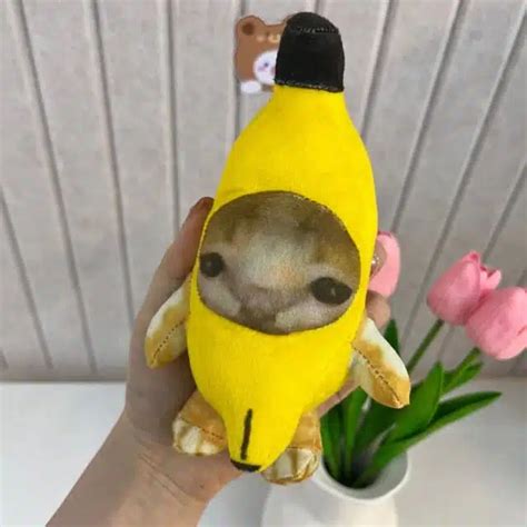 Meme Plush Cat in Banana Costume | Alwaysplushie