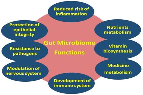 Ijms Free Full Text Effects Of Non Polar Dietary And Endogenous