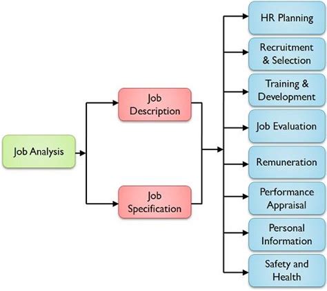 Job Analysis Nurses Revision