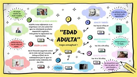 MAPA CONCEPTUAL 1 ETAPA DE LA EDAD ADULTA