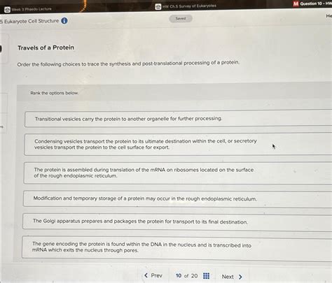 Solved Week Phaedo Lecturehw Ch Survey Of Chegg