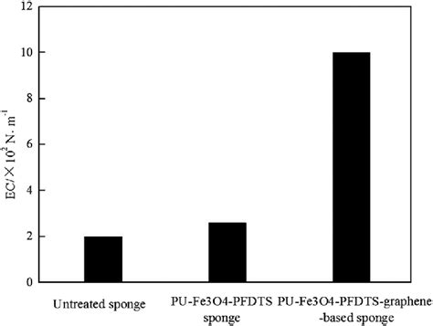 Elastic Coefficients Of Three Prepared Sponges Download Scientific