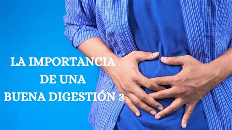 Importancia De Una Buena Digestion 3 YouTube