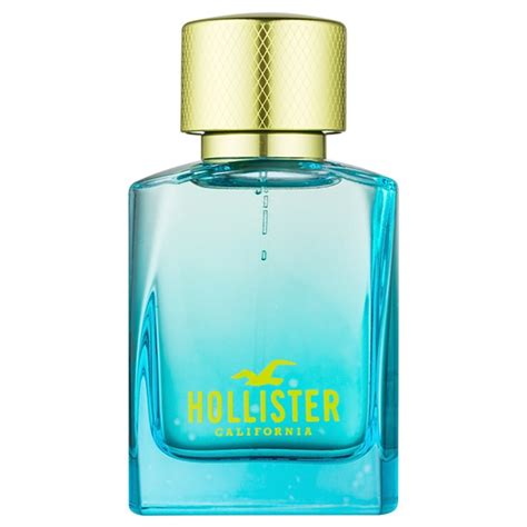 Hollister Wave 2 Eau De Toilette Pour Homme 100 Ml Notinofr