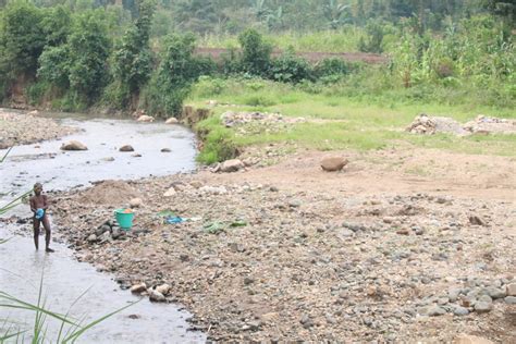 Mt Elgon Landslides Survivors Plant 30000 Trees Through A Village