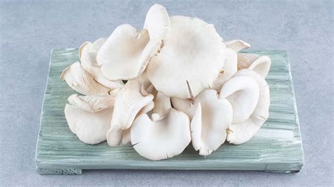 Oyster Mushroom Nutritional Value Per 100g – NutritionFact.in