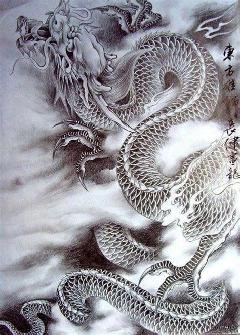 Pin By Richie Stutler On Dragons Dragon Tattoo Art Dragon Tattoo