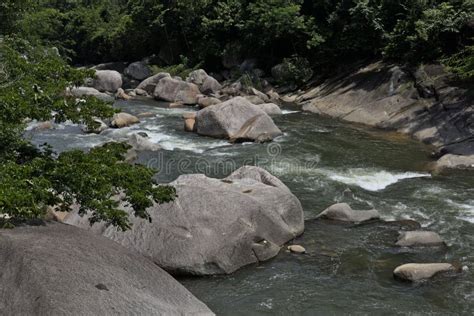 Captura De Pantalla De Una Hermosa Cascada Que Fluye Por El Bosque En