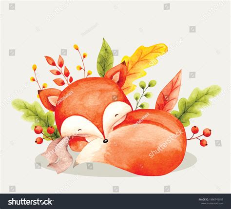 1,079 Sleeping Fox Watercolor Images, Stock Photos, 3D objects ...