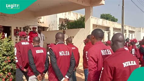 6 Cartels Arrested As Ndlea Busts Cross Border Drug Trafficking Rings