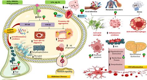 Protective Function Of Matrine In Alzheimer Disease And Cns