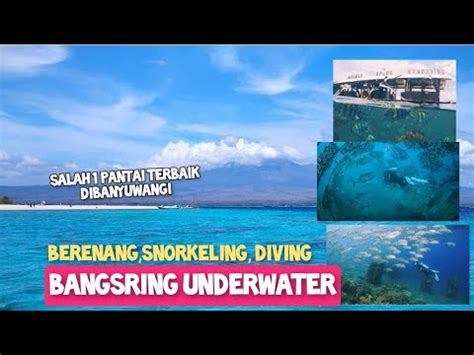 Surganya Taman Laut Terindah Di Bangsring Underwater Wisata Bagus