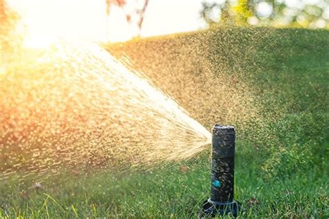 Irrigation - Professional Irrigation System Design, Install for your home