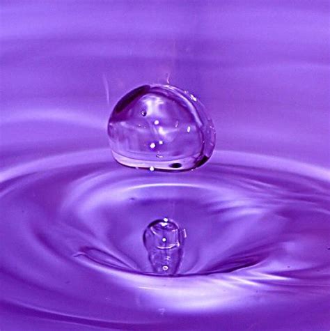 17 Best images about Colors: Purple on Pinterest | Purple, Deep purple ...