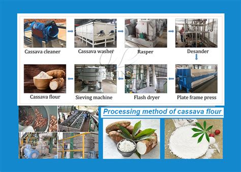 Health Benefits Of Cassava Flour And Processing Method Of Cassava Flour