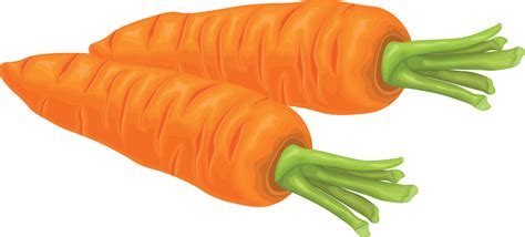 Carrot Image Of A Ripe Carrot Vitamin Vegetable Organic Food Orange