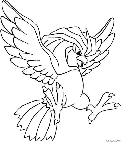 Pokemon Pidgeotto Coloring Page Turkau