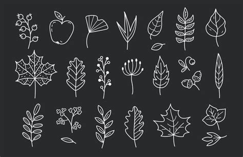 Premium Vector Vector Set Of Autumn Doodles In Black Background Hand