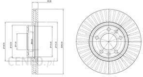 Tarcza Hamulcowa DELPHI Tarcza Hamulcowa BG3835 Opinie I Ceny Na Ceneo Pl