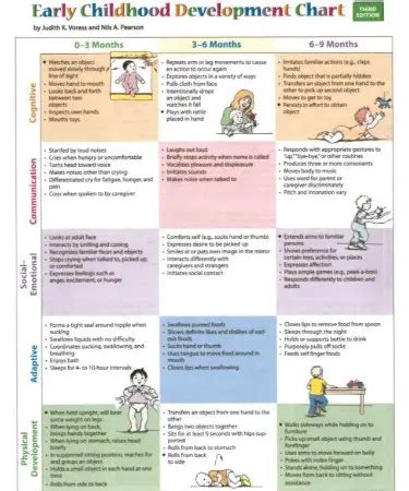 ⚖ Peabody Developmental Motor Scales Chart PDF - (PRINTABLE)