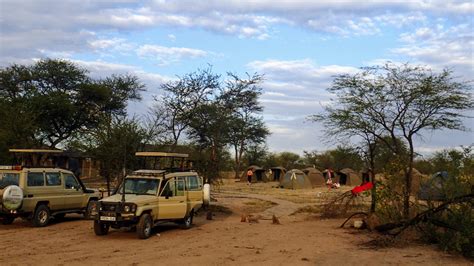 Serengeti Budget Camping Safaris: How to Get the Best Value for Your ...