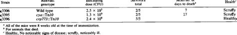 Virulence Of S Typhimurium Sr 11 Cyatnio And Crp773tnio In Balbc