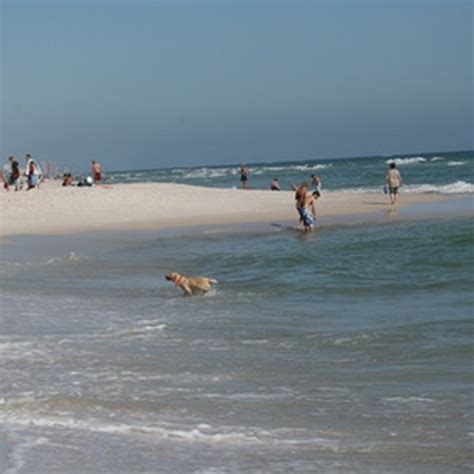 Palmetto, Florida Hotels | USA Today