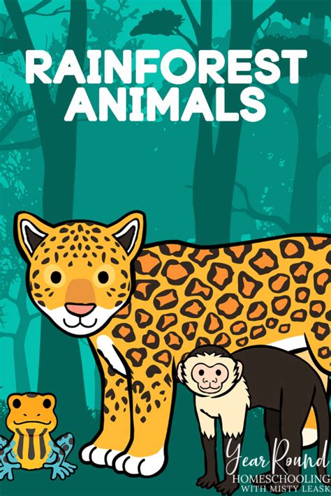 Rainforest Animal Worksheets - Year Round Homeschooling