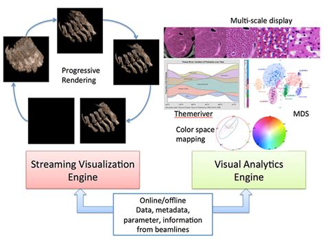 Bnl Computational Science Initiative Csi Dynamic Visualization