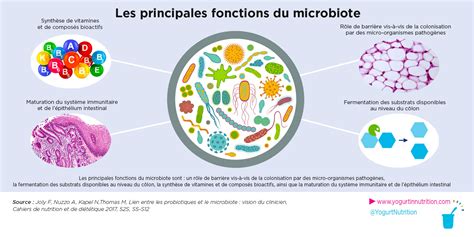 Quelles Avanc Es Scientifiques Sur Probiotiques Et Microbiote