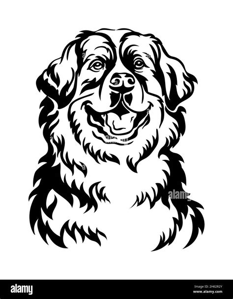 Bernese Mountain Dog Black Contour Portrait Dog Head In Front View