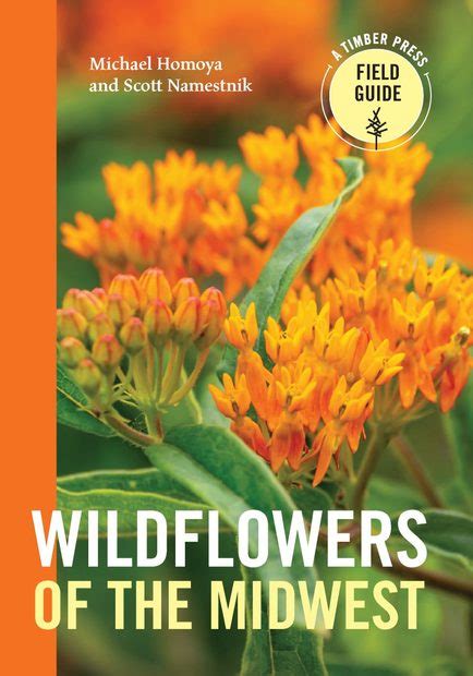 Wildflowers of the Midwest | NHBS Field Guides & Natural History