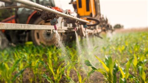 ¿cuáles Son Los Beneficios Y Riesgos Del Uso De Fertilizantes Y