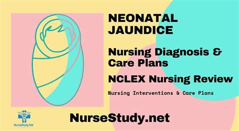 Neonatal Jaundice Nursing Diagnosis Care Plan Nursestudy Net