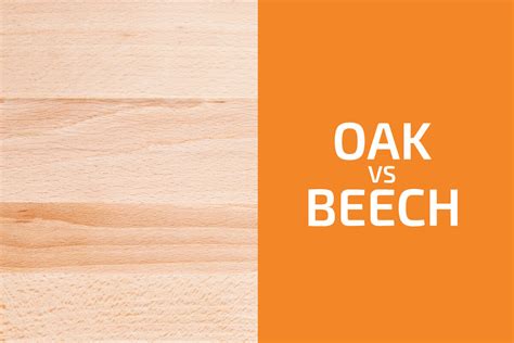 Oak Vs Beech Which One To Use Handyman S World