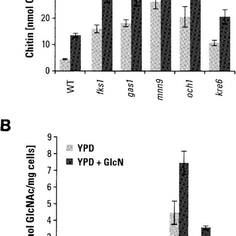 A Effect Of Glcn On Chitin Contents Of Wild Type Wt And Mutant Download Scientific Diagram